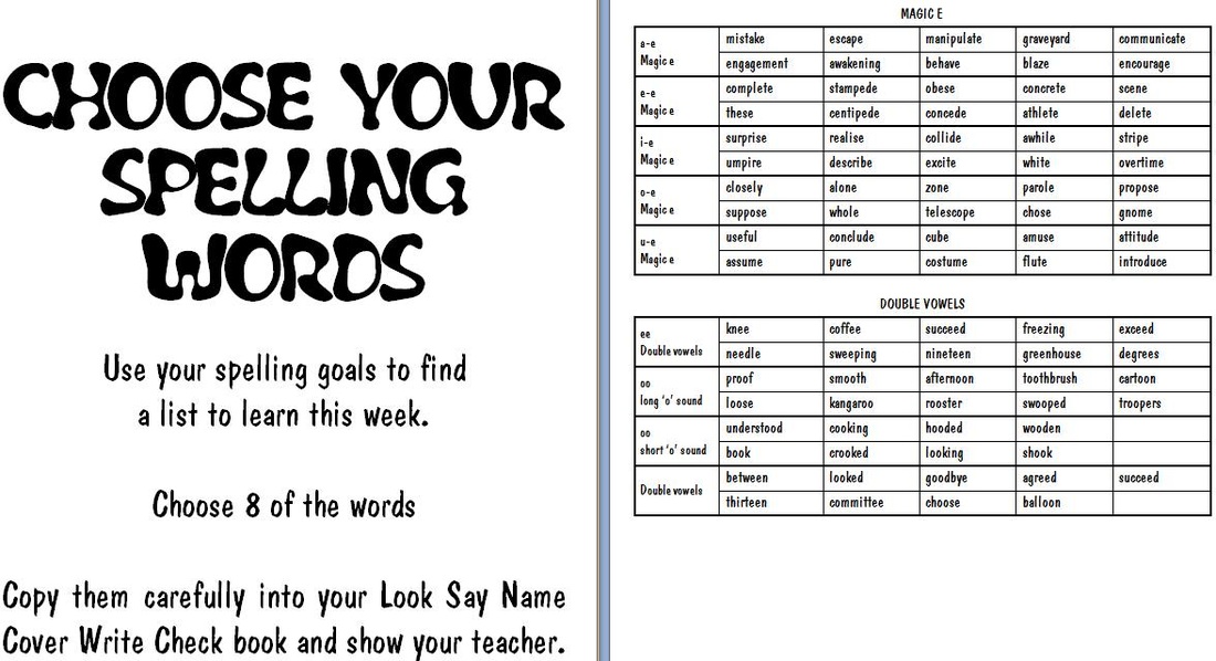 look-say-name-cover-write-check-margd-teaching-posters